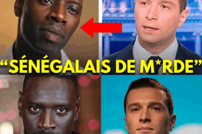 « Le Mépris Emballé Dans de la Politique » : La Leçon d’Humanité Inoubliable d’Omar Sy à Jordan Bardella Qui a Soulevé les Soignants