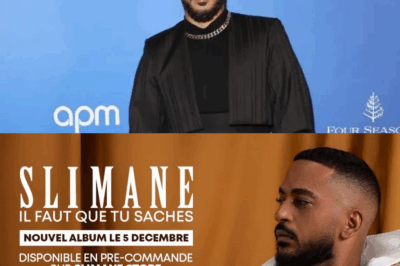 Affaire Slimane : De la Gloire à la Tourmente, Révélations sur la Nuit qui a Tout Basculé