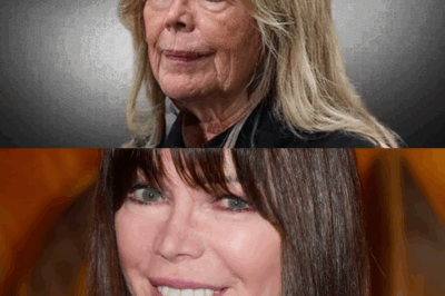 KAREN CHERYL : L’OMBRE DE LA STAR DU DISCO – À 70 ANS, LA VÉRITÉ CHOQUANTE SUR LA TRAHISON, LA RUINE, ET LE COMBAT POUR UNE VIE SANS MASQUE