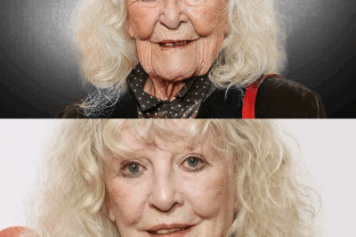 Petula Clark à 92 ans : Les confessions douces-amères de la “Chérie Chantante” sur la maternité manquée et le prix de sa dignité.