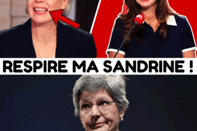 L’experte autoproclamée démasquée : la vérité explosive sur les 1300 milliards d’euros de “gabji” en France.