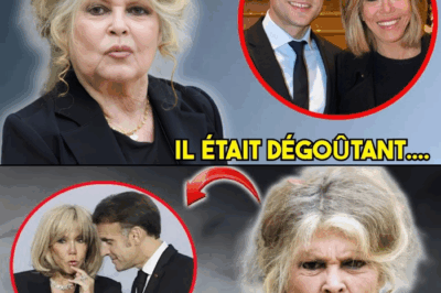 « Deux Laideurs Gouvernent la France » : À 91 Ans, Le Rugissement de Brigitte Bardot Contre l’Hypocrisie du Couple Macron