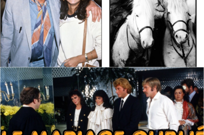 Le Mariage Fantôme : La Vérité Bouleversante sur l’Union Oubliée entre Johnny Hallyday et Babeth Étienne