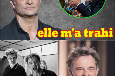 David Hallyday : Le récit bouleversant d’une trahison amoureuse et le chemin sinueux vers la renaissance