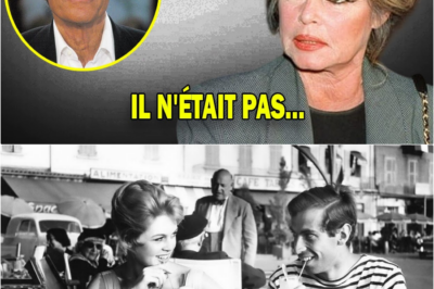 À 91 ans, Brigitte Bardot lève le voile : La vérité poignante sur son idylle brisée avec Sacha Distel