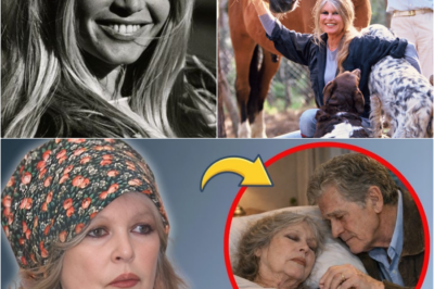 Le secret final de Brigitte Bardot : La vérité bouleversante sur la mort silencieuse d’une légende immortelle