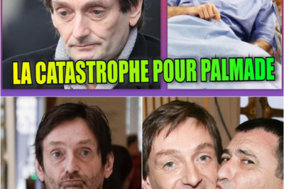 Pierre Palmade : L’ultime coup de massue, entre ruine financière et solitude absolue, l’humoriste face à son destin tragique