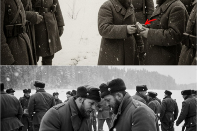 Perché I Sovietici Rispettavano Gli Alpini Più Dei Tedeschi