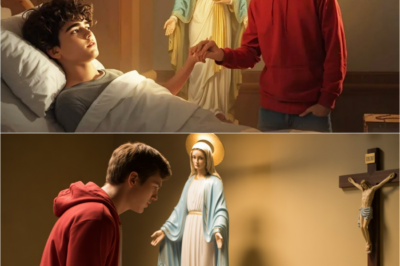 Joven Enfermo Agonizaba hasta que Carlo Acutis trajo a la Virgen María a su Lado
