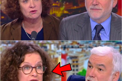 Le Moment où Élisabeth Lévy a Craqué sur CNews : Briser le Mythe de la Terreur