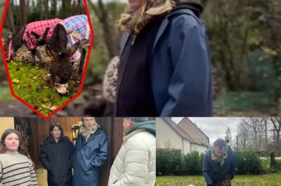 Jean-Luc Reichmann a bouleversé ses abonnés en dévoilant deux nouveaux pensionnaires sur ses terres : des ânes miniatures, aussi mignons qu’insolites.