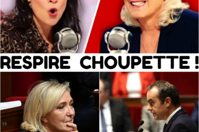 Marine Le Pen face à l’accusation : La riposte cinglante qui ébranle le gouvernement et relance le débat fiscal