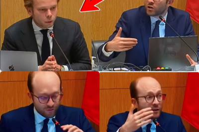 Audition Radio France : Le duel explosif entre le rapporteur et le président qui a paralysé l’Assemblée 🛑