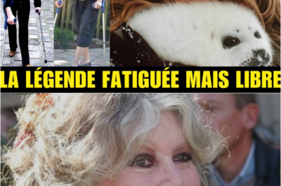 À 91 ans, Brigitte Bardot opérée en secret : La vérité bouleversante derrière les rumeurs qui ont fait trembler la France