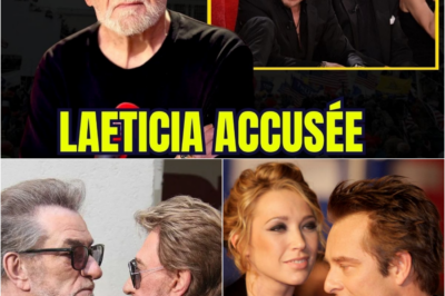 Eddy Mitchell Contre-Attaque : Les Révélations Chocs d’un “Frère” qui Refuse de Voir la Mémoire de Johnny Hallyday Bradée