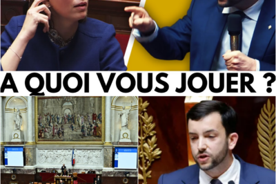 “Le Projet de Facturation” : Jean-Philippe Tanguy Dézingue l’Accord Secret qui Fait Payer les Français pour Sauver les Sièges des Députés