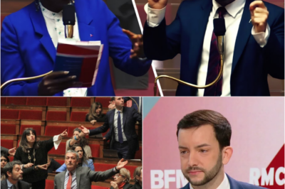 CLASH TITANESQUE À L’ASSEMBLÉE : JEAN-PHILIPPE TANGUY PULVÉRISE LA GAUCHE ET DÉNONCE LE “MÉPRIS” DES MACRONISTES ENVERS LA CLASSE MOYENNE