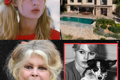 Le Testament de Fer de Brigitte Bardot : Pourquoi elle a choisi ses animaux au détriment de son fils unique