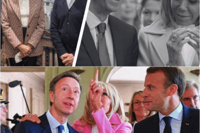 Le Clash des Géants : Quand l’Affaire des Vitraux de Notre-Dame Brise l’Alliance Sacrée entre Stéphane Bern et Brigitte Macron