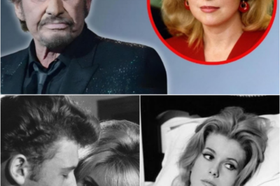 Lady Lucille Démasquée : L’Incroyable Histoire d’Amour Secrète entre Johnny Hallyday et Catherine Deneuve qui a Duré 60 Ans