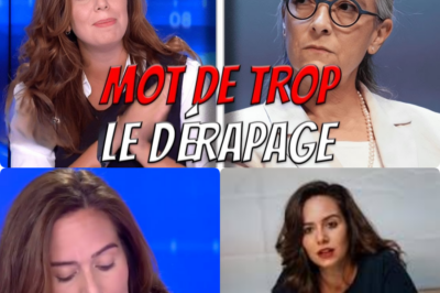 Sarah Knafo et sa « lettre ouverte » : Analyse d’un dérapage politique soigneusement orchestré 🛑