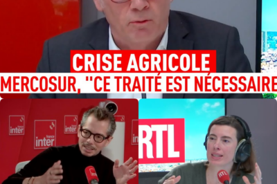 Jean-François Loiseau et le Mercosur : le cri du réalisme économique face à un État débordé 🌾⚖️