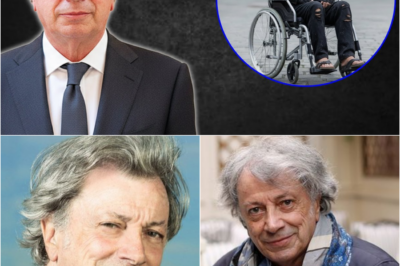 Hervé Vilard : Le Silence après la Gloire, ou la Revanche Paisible de l’Orphelin