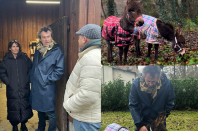 L’animateur star a un cœur en or! ✨ Jean-Luc Reichmann révèle l’arrivée de deux ânes miniatures dans sa vie ! 👀 Comment l’animateur star gère-t-il cette nouvelle vie à la ferme ? 💥 Ces adorables boules de poils sont-elles destinées à remplacer Zette ? 😂 Tous les détails sur cette adoption insolite sont à lire ici ! 👇