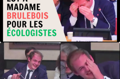 Fou rire à l’Assemblée : quand l’écologie de Madame Brûlebois devient un spectacle, l’État s’avoue débordé 🗳️✨