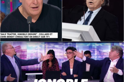 Clash explosif sur TF1 : Gilbert Collard et Daniel Cohn-Bendit se hurlent dessus en plein direct