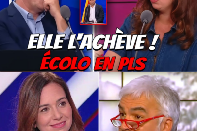 Sarah Knafo pulvérise une militante écolo et fustige “l’absurdité” du système français en direct