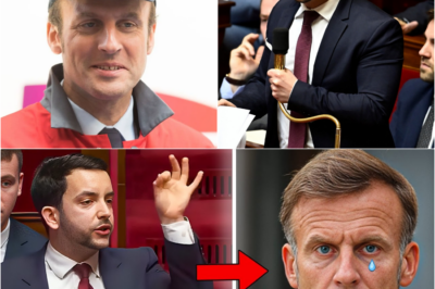 Affaire Alstom : Entre corruption et menaces de mort, les révélations explosives qui secouent l’État