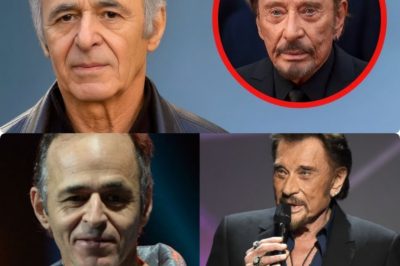 40 ans de silence rompu : Jean-Jacques Goldman révèle enfin la face cachée de sa collaboration avec Johnny Hallyday 🛑