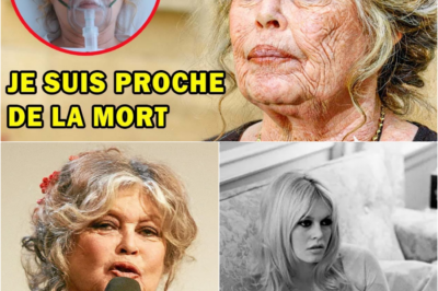 L’icône Brigitte Bardot à 91 ans : Une confession choc sur la liberté et la solitude derrière le mythe