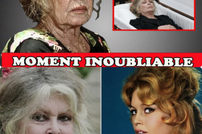 L’ultime soupir de l’icône : les secrets des dernières heures de Brigitte Bardot à La Madrague