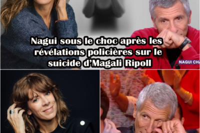 Nagui sous le choc : Les révélations policières bouleversantes sur la disparition tragique de Magali Ripoll