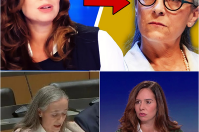 France Télévisions au Bord du Gouffre : Les Chiffres Chocs de Sarah Knafo et Charles Alloncle qui Dévoilent un “Pillage” de l’Argent Public