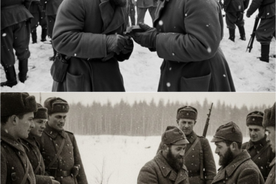 Perché I Sovietici Rispettavano Gli Alpini Più Dei Tedeschi