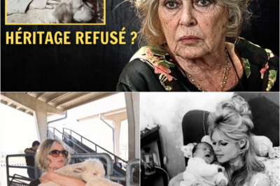 « Grand Chelem » et Étoile Invisible : Les 12 Coups de Midi au Cœur d’un Scandale de Triche Sans Précédent