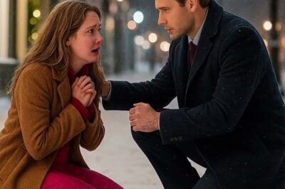 Le PDG riche dut passer Noël seul… jusqu’à ce qu’elle lui parle et change tout…_d