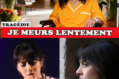 Nolwenn Leroy : “Je Ne Chanterai Plus Jamais” – À 43 Ans, Elle Révèle le Drame Secret Qui a Failli Briser sa Vie