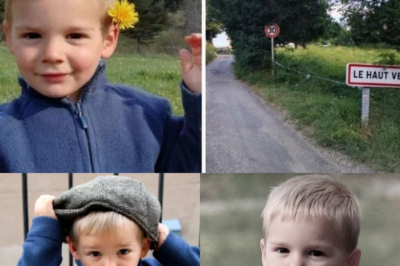 Affaire Émile : L’Énigme de l’Objet Volumineux et les Nouveaux Espoirs d’une Vérité Scientifique