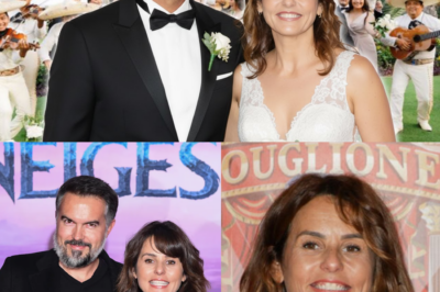 Faustine Bollaert : De la Douleur du Divorce à la Renaissance d’un Amour Secret, les Révélations d’une Icône