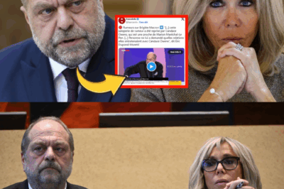 «CETTE SALOPERIE» : L’EXPLOSION DE COLÈRE D’ÉRIC DUPOND-MORETTI DÉFENDANT L’HONNEUR DE BRIGITTE MACRON