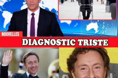 Stéphane Bern : Le combat secret d’une icône brisée, entre diagnostic alarmant et résilience bouleversante face à la douleur