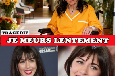 Nolwenn Leroy : Le cri du cœur d’une icône brisée, entre l’ombre d’un divorce dévastateur et la renaissance miraculeuse de sa voix