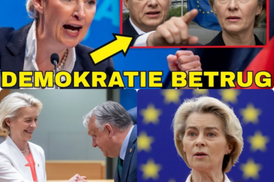 L’État est débordé : pourquoi le salut ne viendra que du peuple 🗳️