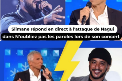 Slimane répond en direct à l’attaque de Nagui : le cri de la dignité populaire face au mépris des élites médiatiques 🎤💥