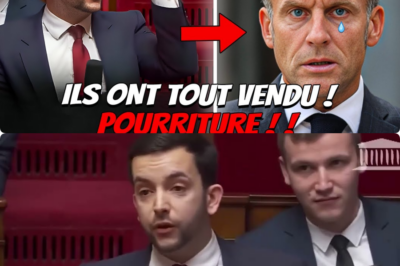 ✍️ Le “Casse du Siècle” : Tanguy Accuse Macron de Mensonge