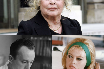 Brigitte Bardot et la critique : Derrière l’icône mondiale, le combat d’une femme face au mépris de l’élite cinématographique